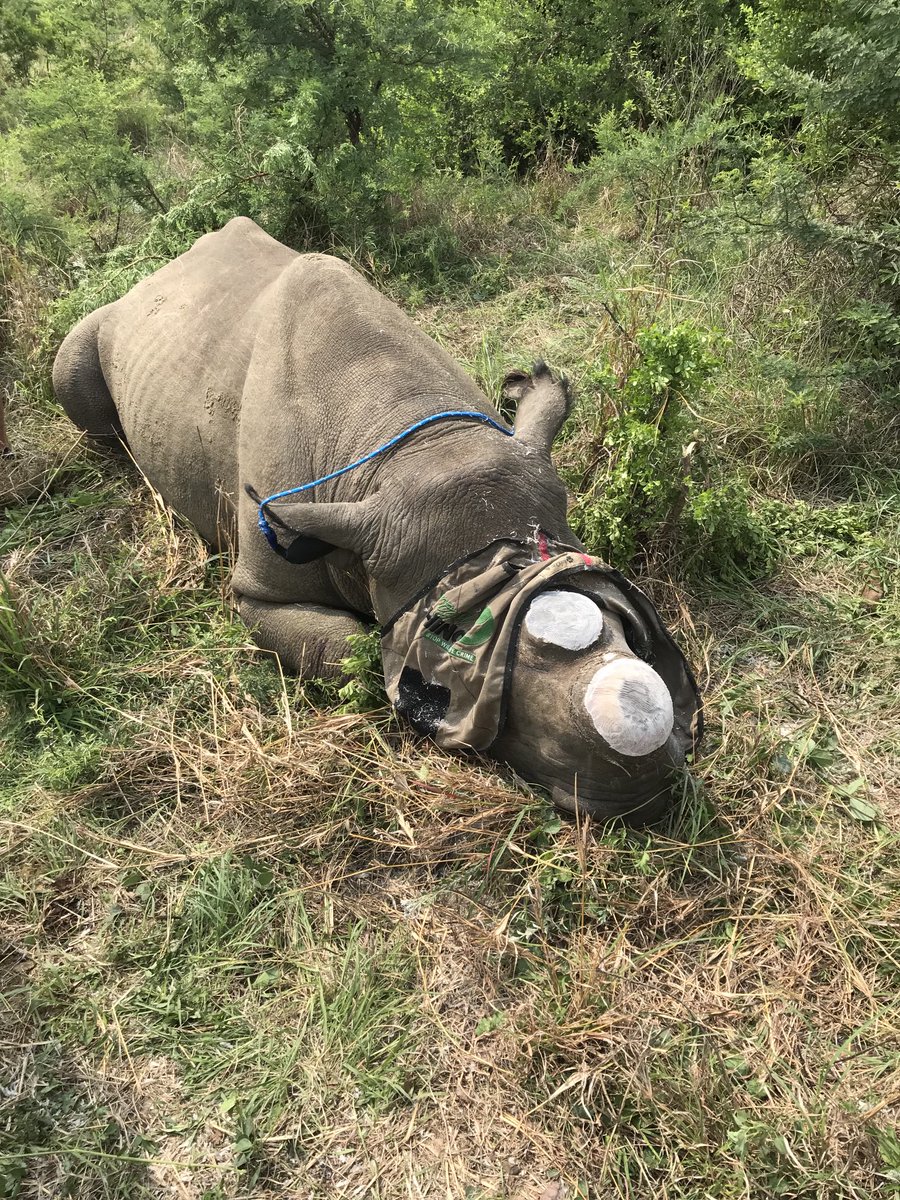 Highclare Geography tweet media