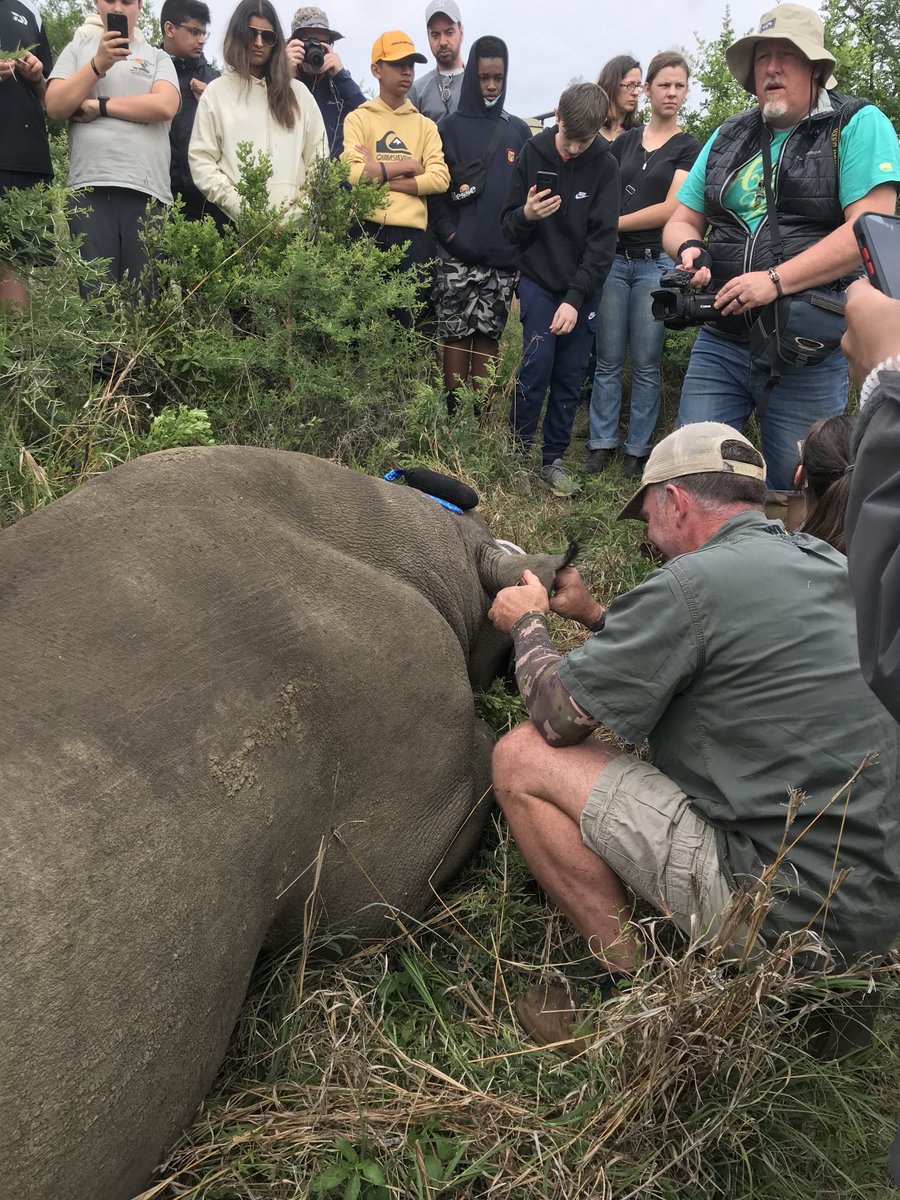 Highclare Geography tweet media