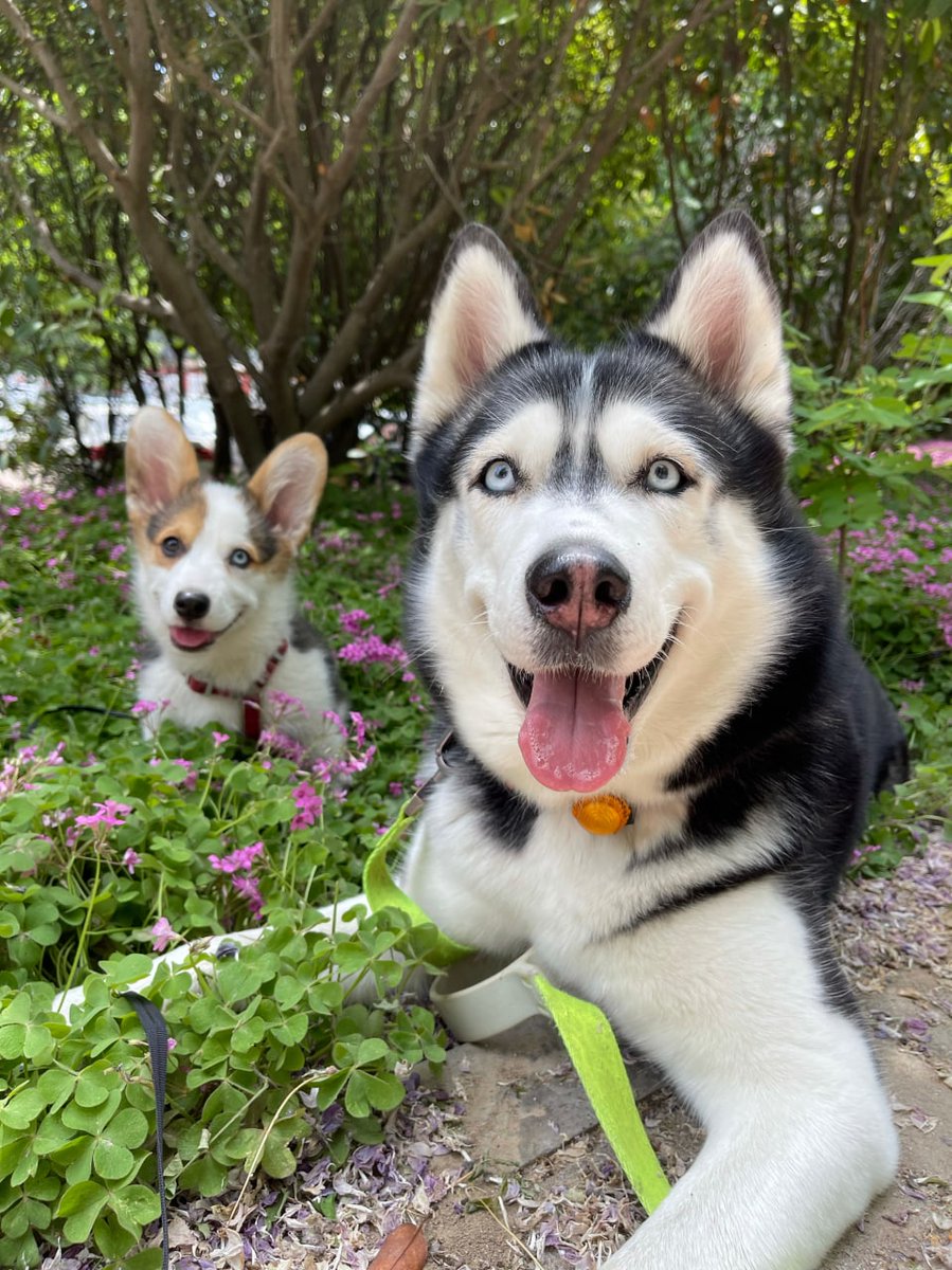 KassandaWilliam's tweet photo. look so adorable my dear little babies. https://t.co/40lfCjo1hU
