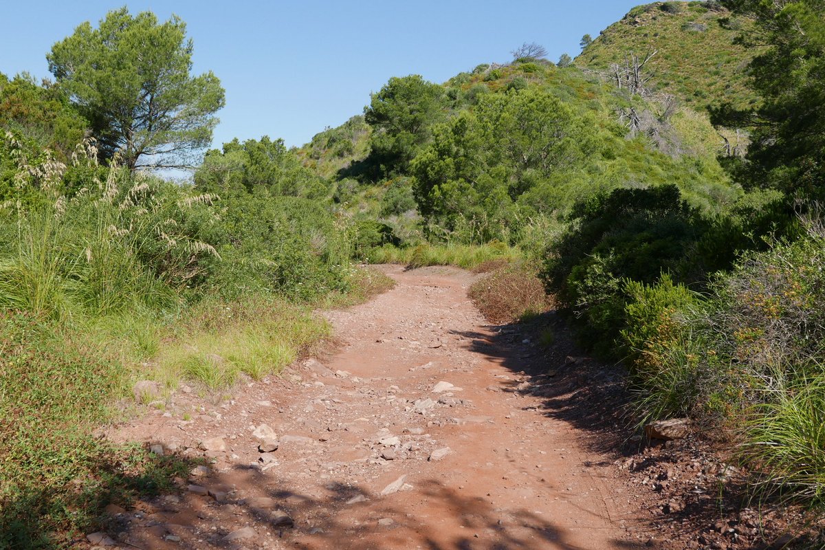 Lamentable estat en què es troba el camí de davallar a la platja d’Ets Alocs (aquesta foto no és d’avui, i és de suposar que deu estar pitjor després de la darrera torrentada) Ni els cotxes 4 X 4 hi poden davallar.