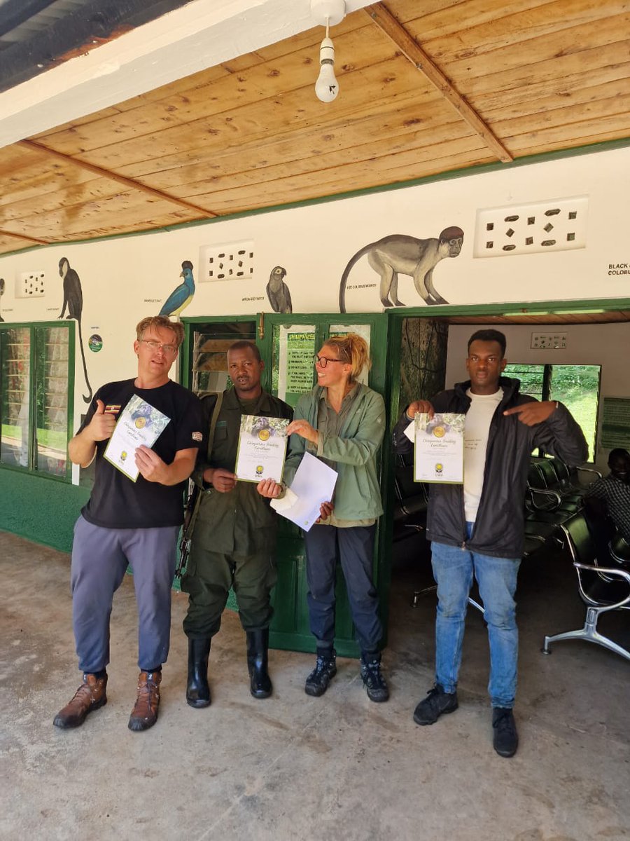 ToursRoots's tweet photo. Famous for its primate species, Kibale Forest and the area around are a highlight for any travel to Uganda- Chimpanzees and other primates complete a #Ugandasafari. Our guests tracked Chimpanzees and had time to visit the community in the afternoon.

#Uganda #ExploreUganda https://t.co/cW0yZzZOQ1