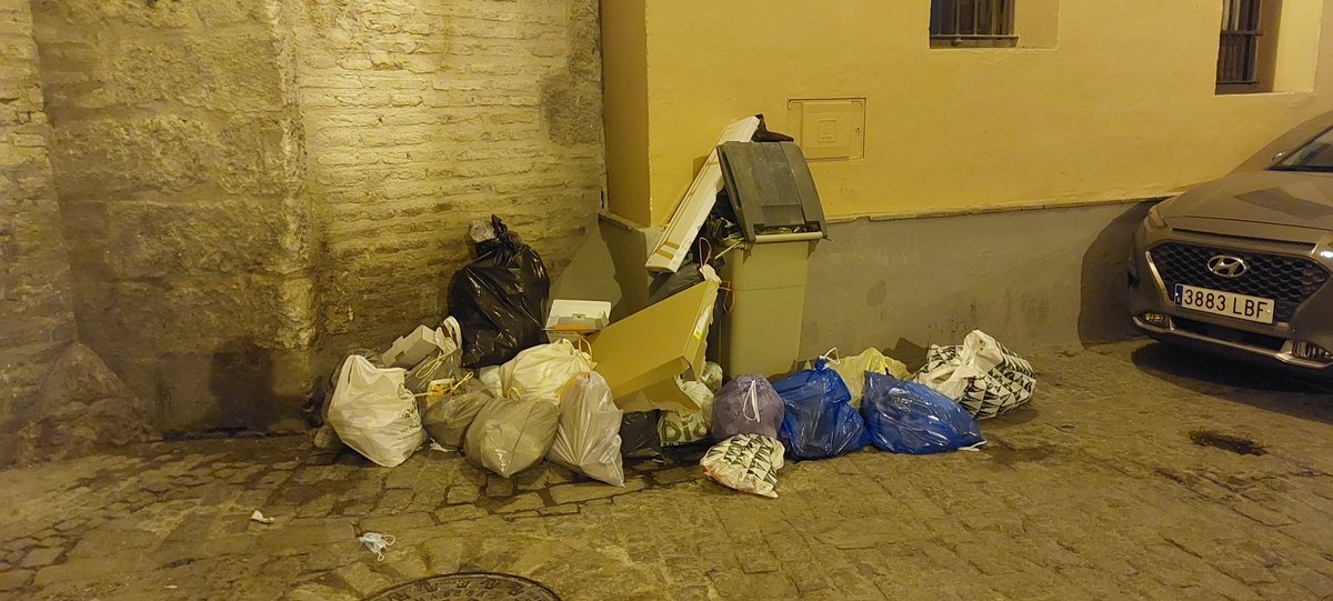 EmilioJ98961760's tweet photo. Así de limpia y de higiénica tiene @antoniomunozsev la @SevillaSucia los días que más turismo espera la ciudad. 
@_JuanEspadas no tendrá queja que su Delfín.
@PPAytoSevilla @ppandaluz @PPDtoMacarena @TrianaPopular @PPCascoAntiguo @RicardoS2019 @PPDistritoSur_ @PPDistritoNorte https://t.co/YCqcvz4qvx