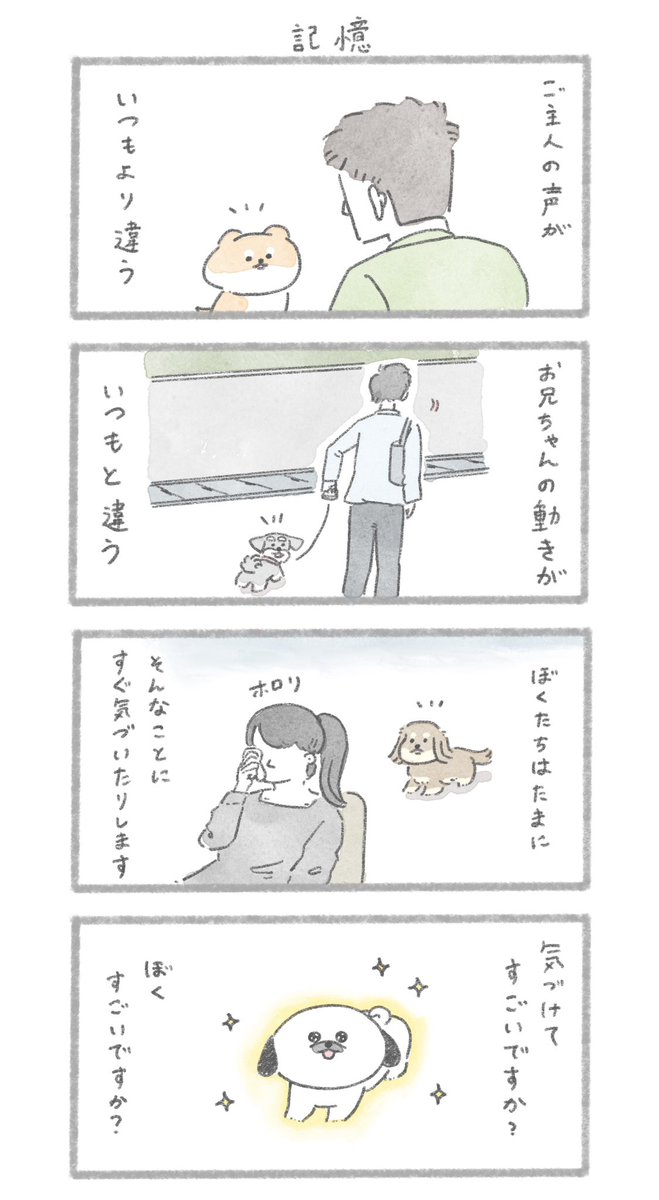 おいぬの記憶
#こんにちはいぬです 