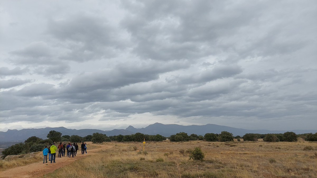 De camino