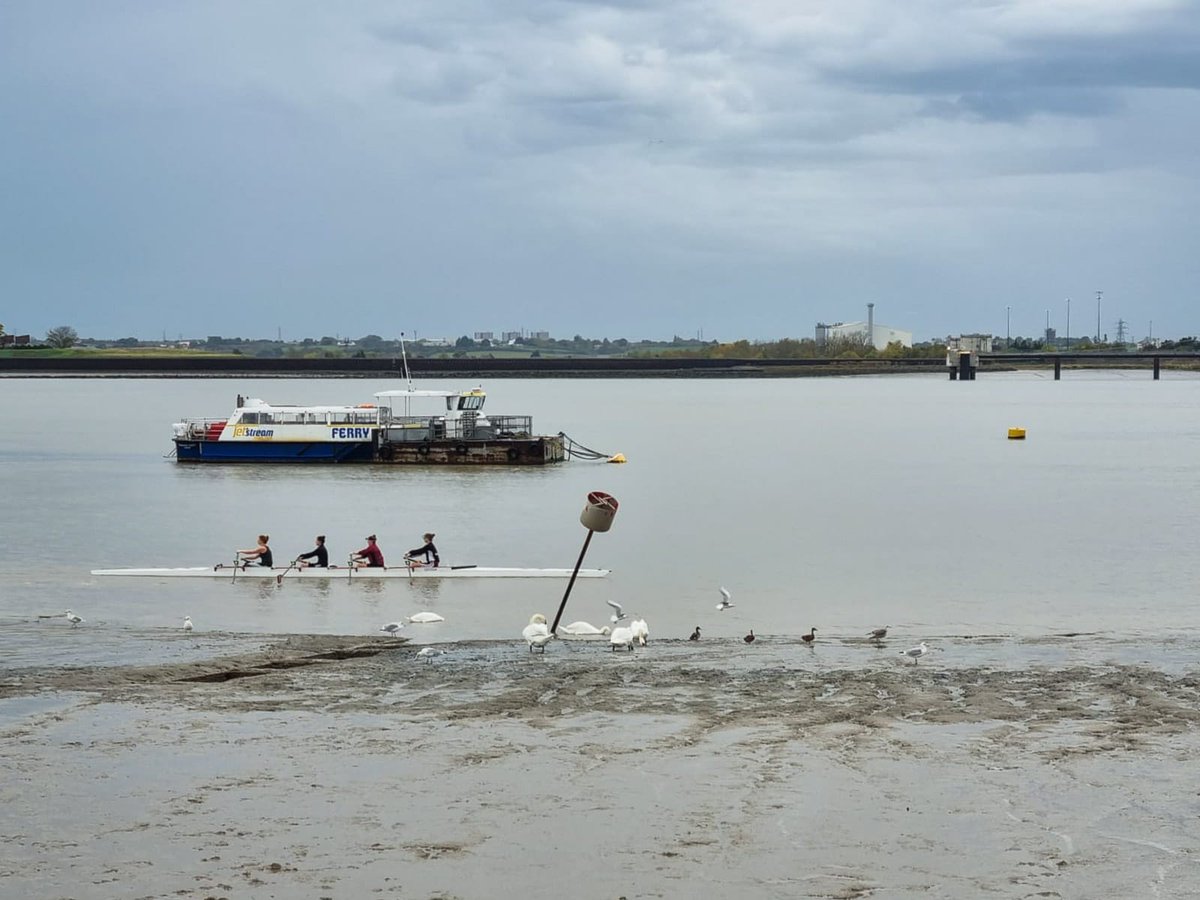 Visit Gravesham (@visit_gravesham) on Twitter photo A pleasure to see <a href="/GravesendRowers/">Gravesend RowingClub</a> on the #Thames, #Gravesend this morning ๐ฃ๐ฝโโ๏ธ๐ฃ๐พโโ๏ธ
We are open <a href="/GravesendMarket/">Gravesend Market</a> until 4pm today where the popular ๐งตHandmade Fair๐ชก is open until 2pm ๐ With live music from Ashton Harley ๐
Upcoming events in #Gravesham -
bit.ly/3MS34vc A pleasure to see <a href="/GravesendRowers/">Gravesend RowingClub</a> on the #Thames, #Gravesend this morning ๐ฃ๐ฝโโ๏ธ๐ฃ๐พโโ๏ธ
We are open <a href="/GravesendMarket/">Gravesend Market</a> until 4pm today where the popular ๐งตHandmade Fair๐ชก is open until 2pm ๐ With live music from Ashton Harley ๐
Upcoming events in #Gravesham -
bit.ly/3MS34vc