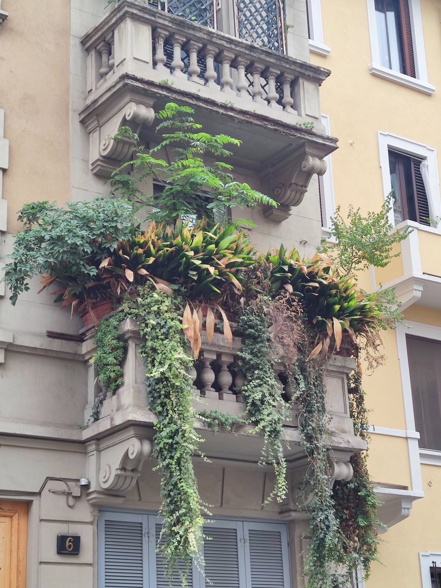 newsfromitaly's tweet photo. A balcony forest spotted in Milan, Italy. https://t.co/BonYMCRKPB