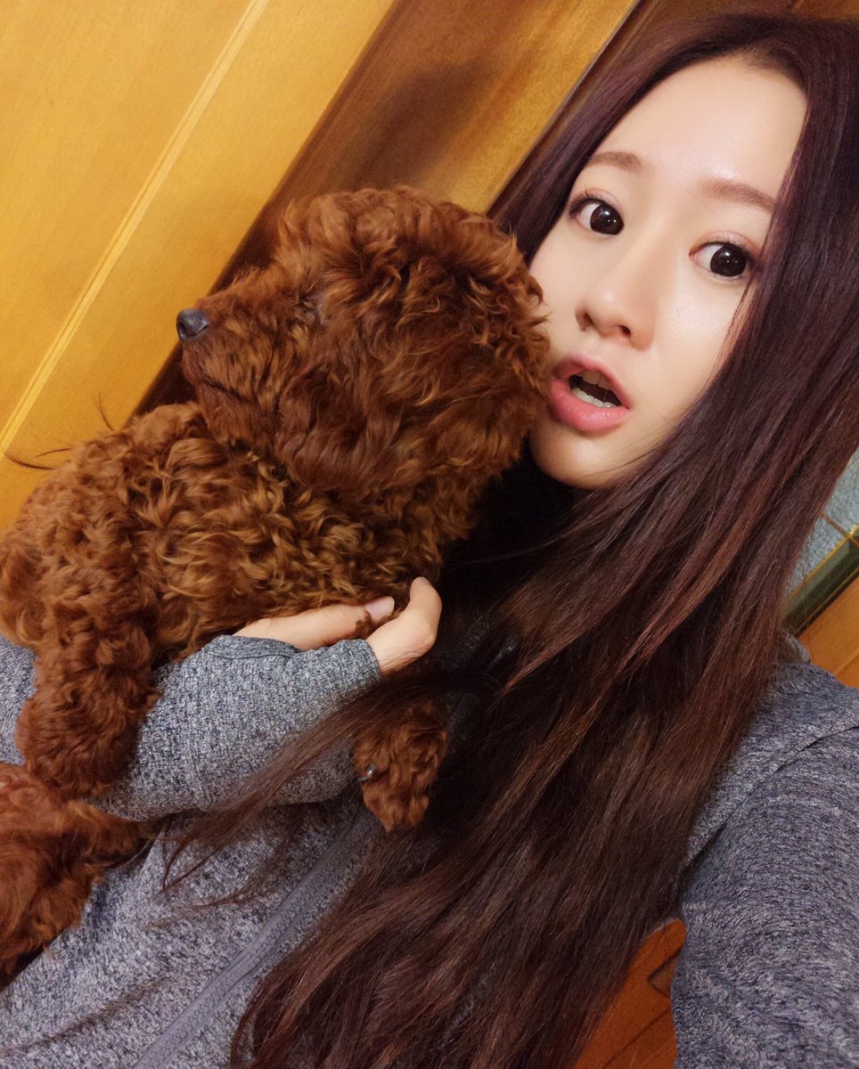 LiYan66888's tweet photo. Is the puppy cute? https://t.co/UdSUy1M5L4