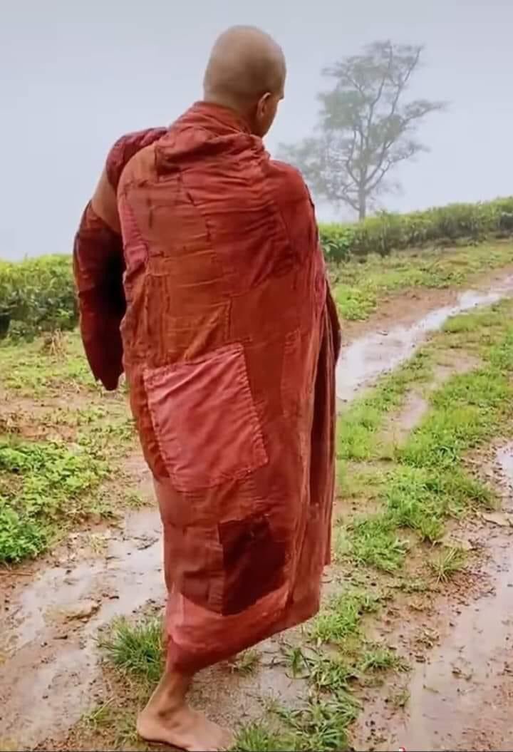 UdithaJeewanth's tweet photo. V8 අතර සැබෑ අත්හරිම 🙏 https://t.co/QA1CU5wxRs