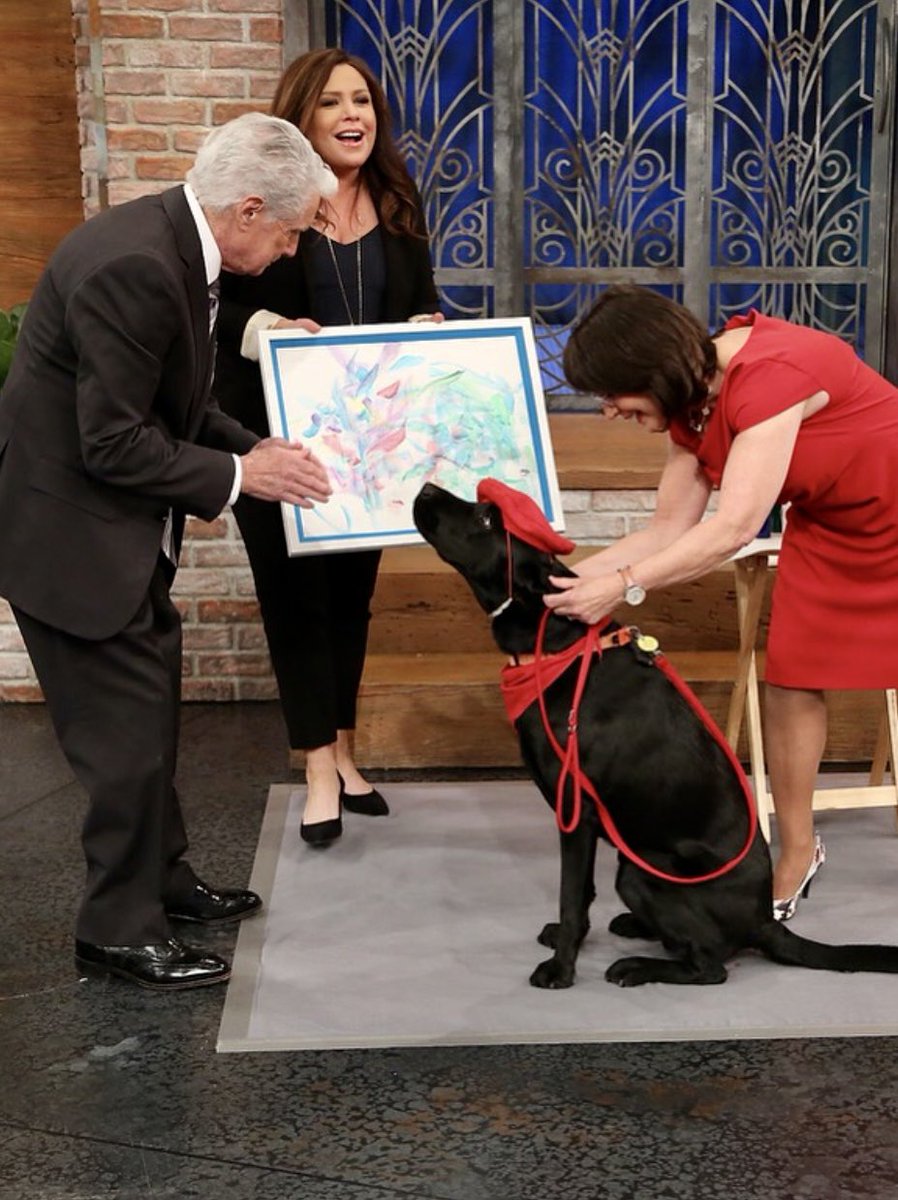 yayatomdagger3's tweet photo. “Today is #TVTalkShowHostDay! We ❤️ the @RachaelRayShow 😊 @rachaelray made mom and I feel so special when we were on her show. Just recently, @jimmyfallon’s producer asked us to be on his show. Wow! What an honor that was. Paws crossed that one day that will happen! We ❤️ him!!” https://t.co/KdnujQG3kp