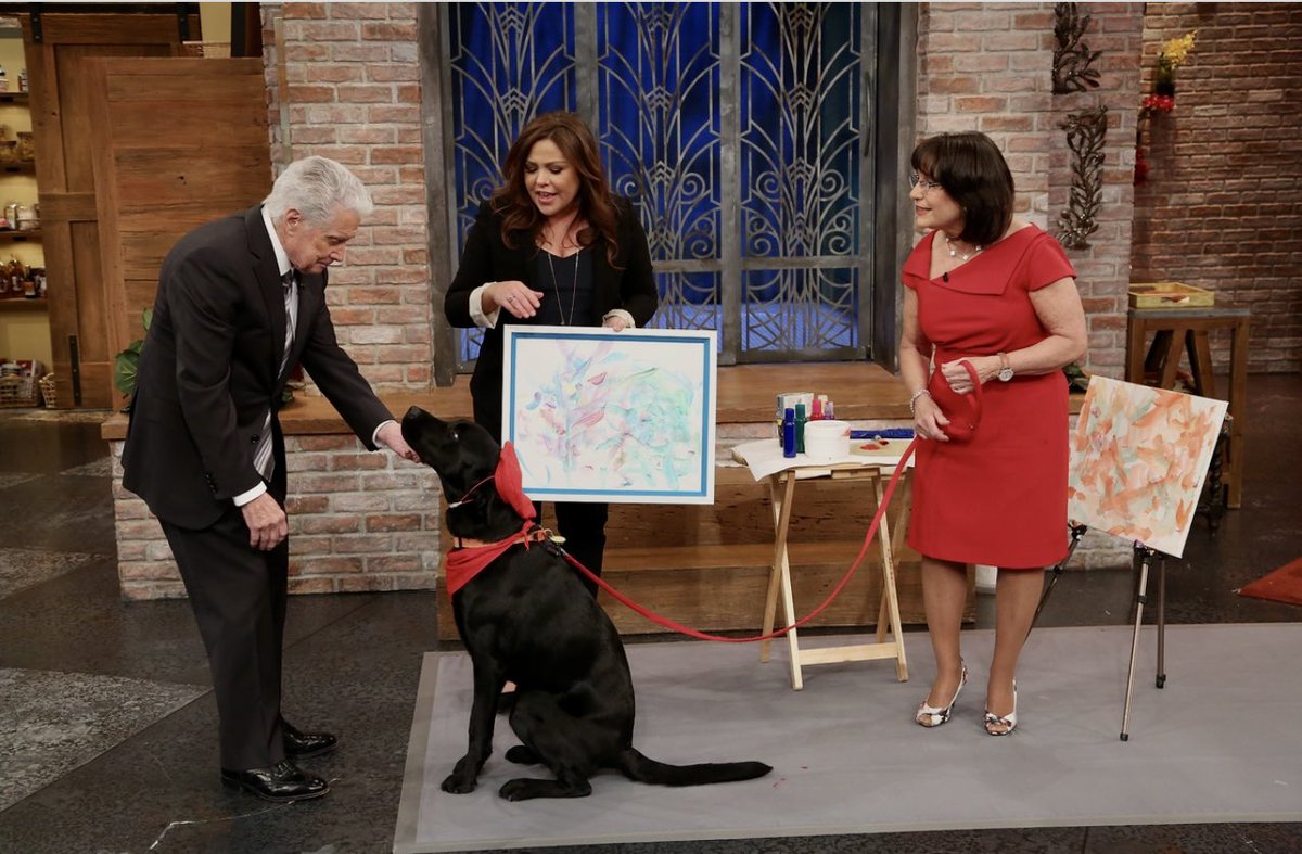 yayatomdagger3's tweet photo. “Today is #TVTalkShowHostDay! We ❤️ the @RachaelRayShow 😊 @rachaelray made mom and I feel so special when we were on her show. Just recently, @jimmyfallon’s producer asked us to be on his show. Wow! What an honor that was. Paws crossed that one day that will happen! We ❤️ him!!” https://t.co/KdnujQG3kp