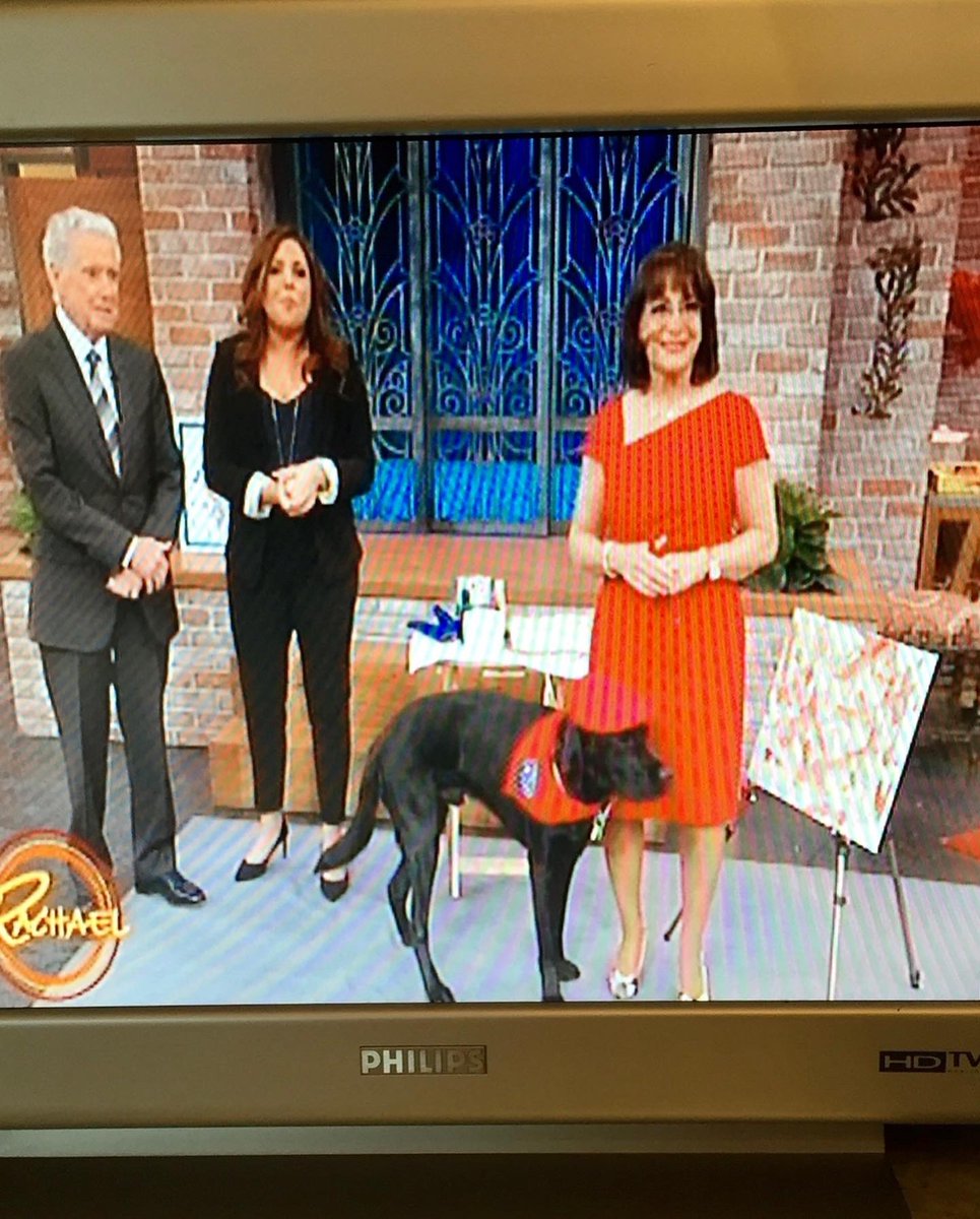 yayatomdagger3's tweet photo. “Today is #TVTalkShowHostDay! We ❤️ the @RachaelRayShow 😊 @rachaelray made mom and I feel so special when we were on her show. Just recently, @jimmyfallon’s producer asked us to be on his show. Wow! What an honor that was. Paws crossed that one day that will happen! We ❤️ him!!” https://t.co/KdnujQG3kp