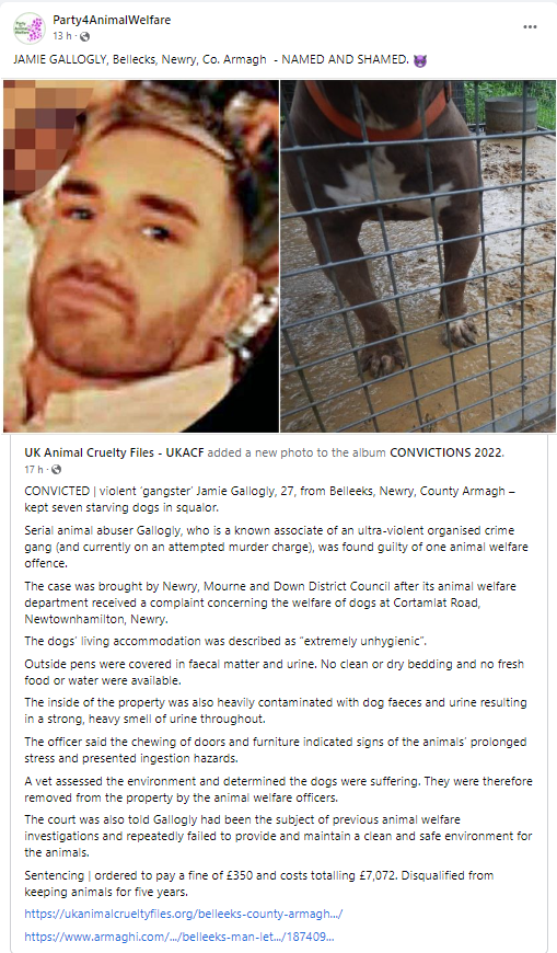 AnimalPartyIE's tweet photo. JAMIE GALLOGLY, Bellecks, #Newry, Co. #Armagh - NAMED AND SHAMED. ๐ฟ CONVICTED | violent #gangster Jamie Gallogly, 27, from #Belleeks, Newry, County Armagh โ kept seven starving dogs in squalor. Serial animal abuser Gallogly found guilty of one animal welfare offence. https://t.co/qmsckebvhO