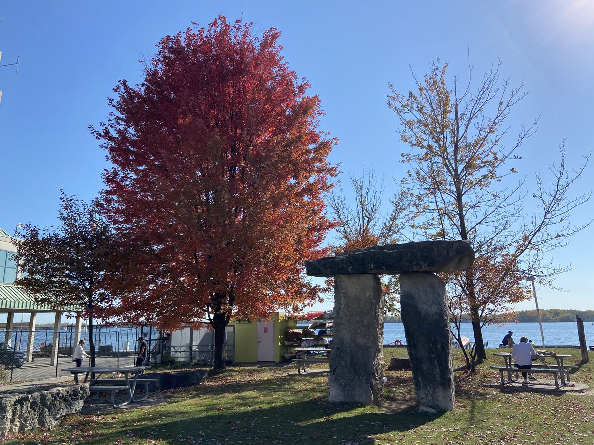 Amy Patton tweet media