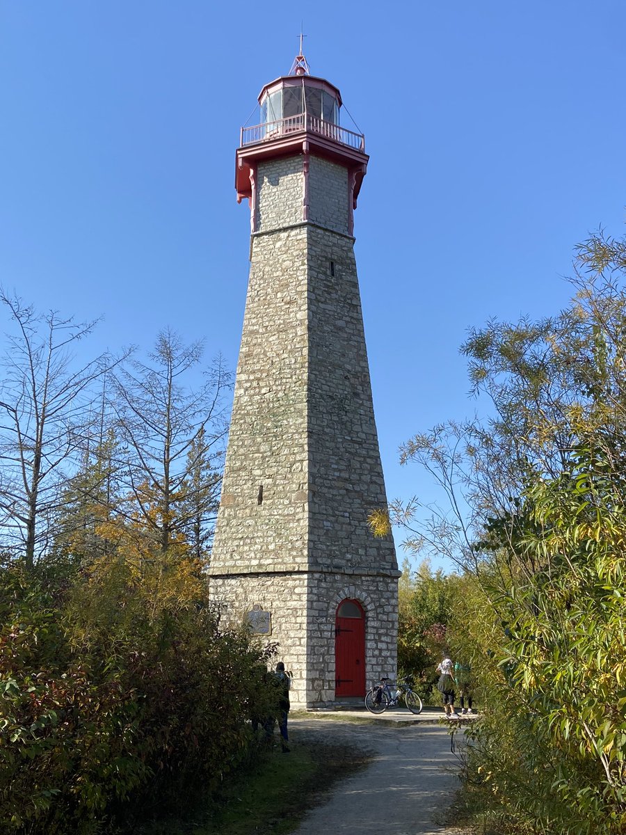 Amy Patton tweet media