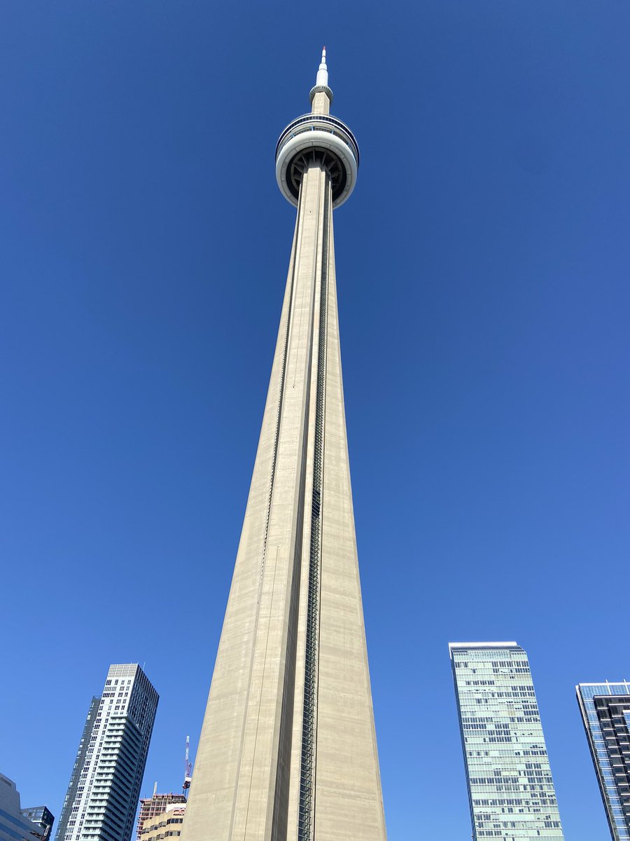 Amy Patton tweet media