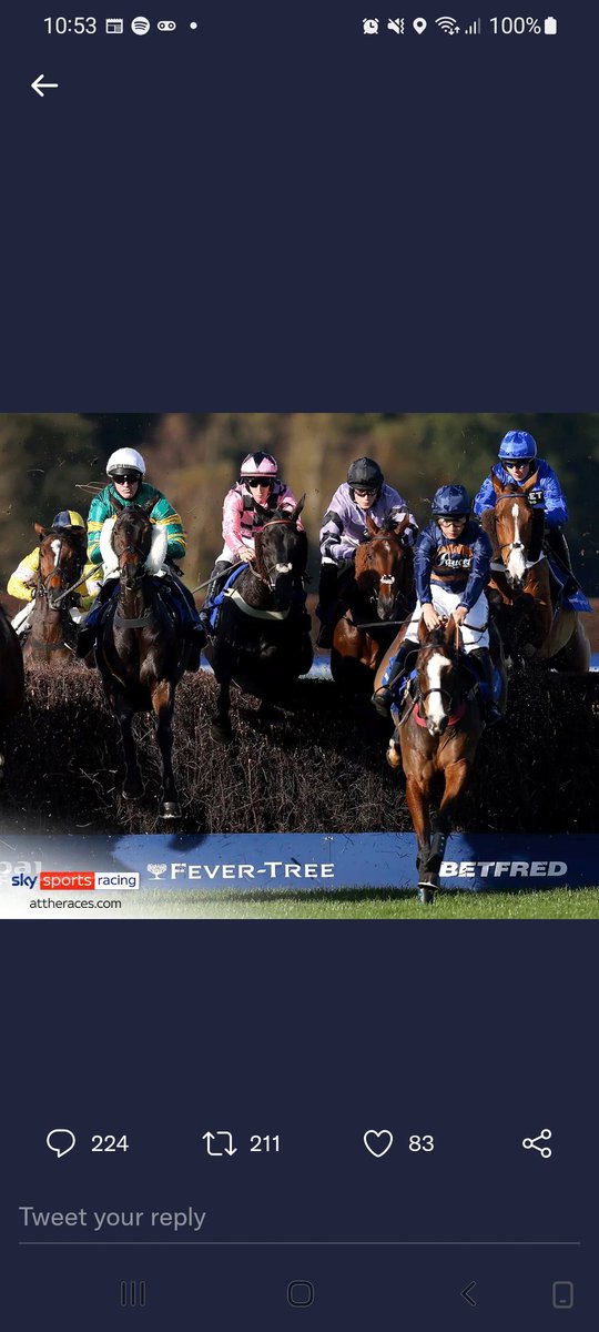 ngwane_eric's tweet photo. @AtTheRaces @Ascot 👌🏆 https://t.co/3zOt6AKHrB