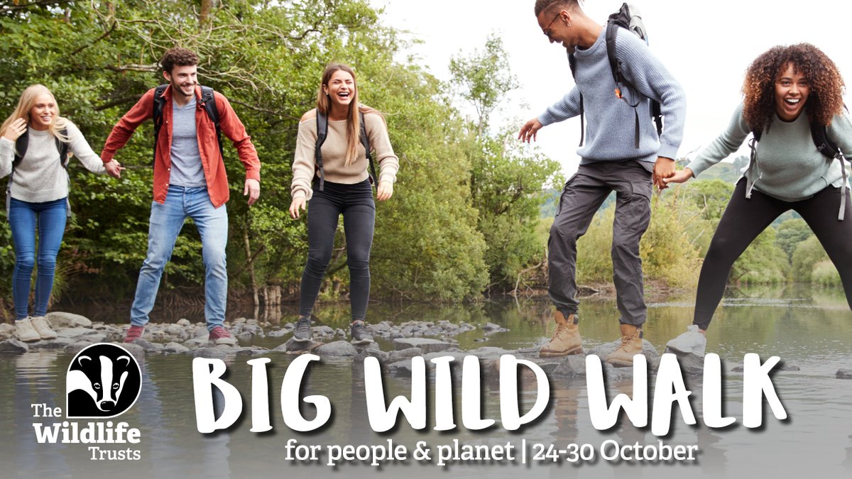 The #BigWildWalk starts TOMORROW! And it’s not too late to join in, choose your #30by30 challenge and create your fundraising page today 👇 wildlifetrusts.org/bigwildwalk