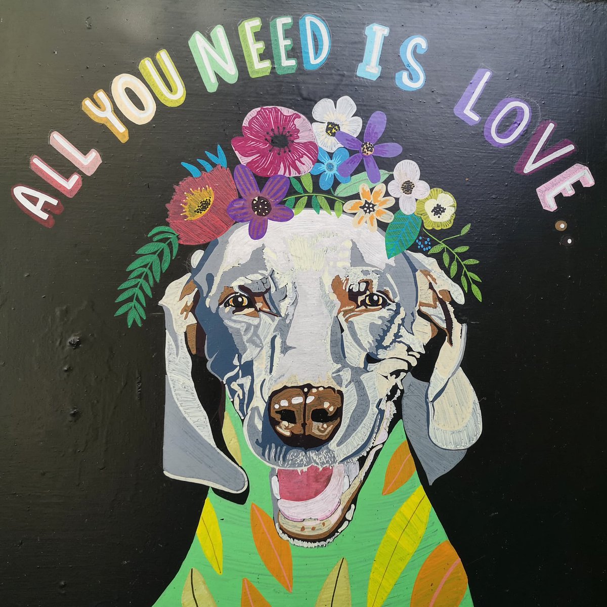 CrocusCafe's tweet photo. 💚🌈 all you need is love.. and a dog 🐾✨
.
A close up of our beautiful a-board by @vernapoppy 👩🎨 We're open today 10am-6pm come and shelter from the rain 🌧️ and bring your fur pals 🐩🐶🥰
.
#crocuscafe #vegan #veggie #cafe #nottingham #notts #communitycafe #notforprofit #lenton https://t.co/Wx8pdpk5vx