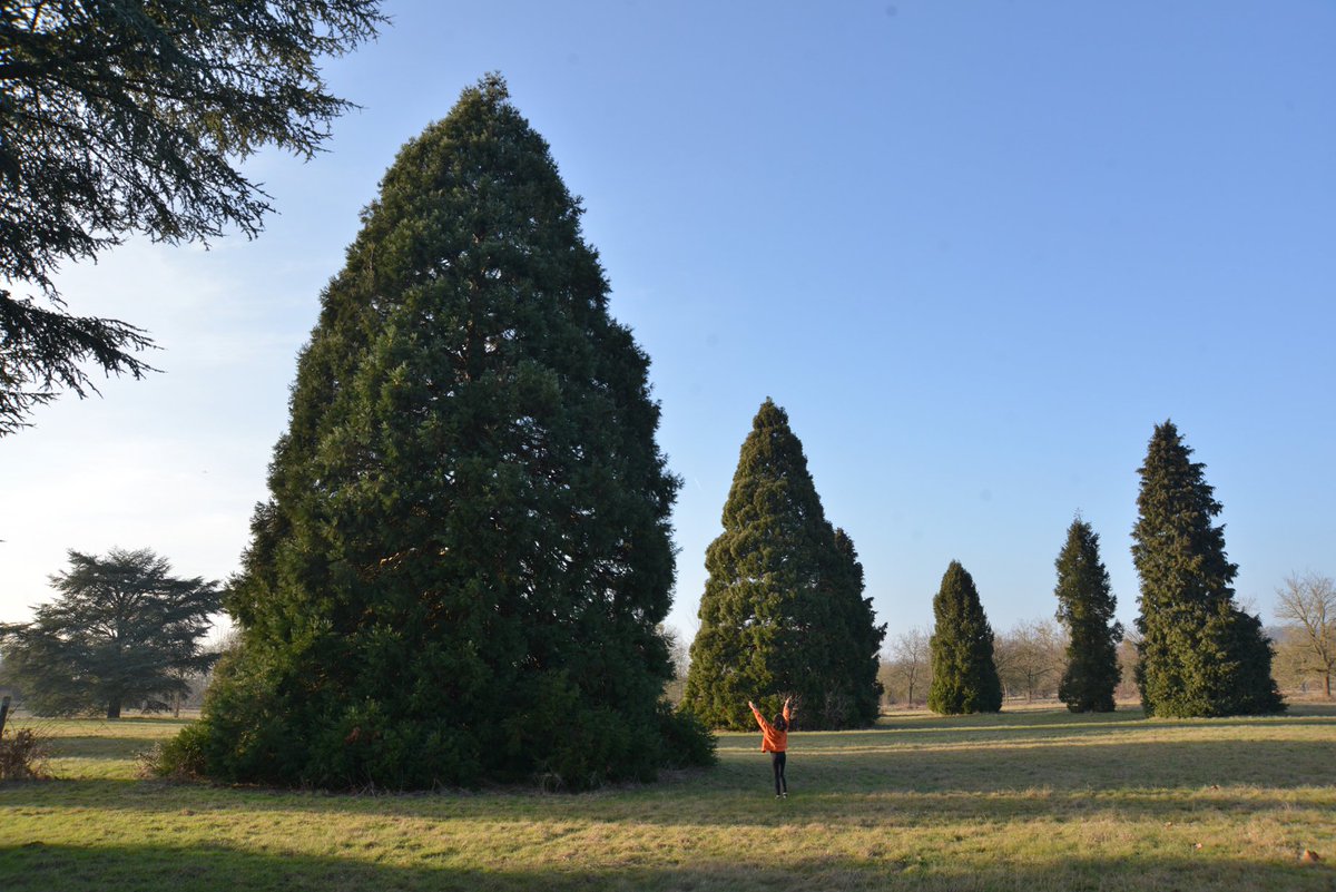 🌳 Les #arbres jouent un rôle essentiel pour notre planète ! Vos enfants savent-ils pourquoi ?
Aidez-les à comprendre l'incroyable pouvoir des arbres avec ce nouvel épisode de #CurieuxDeSciences 👉 bit.ly/3yUKDAa

Un podcast co-produit avec <a href="/Bayard_Jeunesse/">Bayard Jeunesse</a>.