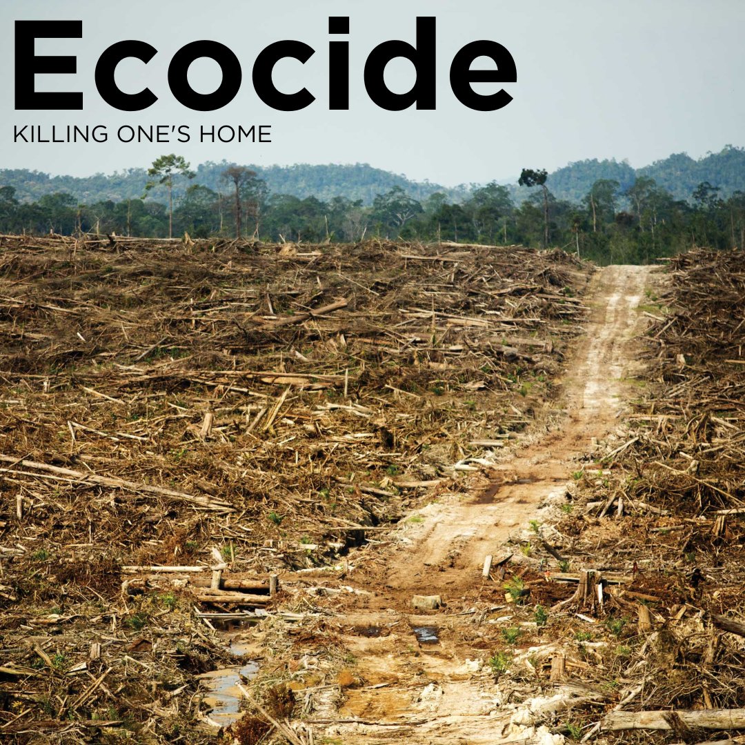 EcocideLaw's tweet image. If we are to avert #climatebreakdown, we cannot continue to destroy ecosystems, such as primary rainforests, that act as vital carbon sinks. 

Want to help make #EcocideLaw a reality? Get involved: stopecocide.earth/act-now

Credit: David Gilbert / @RAN 

#StopEcocide