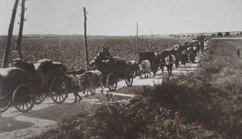 09aydinkent's tweet photo. 1924 mübadelesi ile Selanik'ten Mursallı'ya gelen göç konvoyu. Mursallı / AYDIN (Fotoğraf için Cenk Behram Su’ ya teşekkürler) #mübadele #mubadele #selanikgöçmenleri #mursallı #germencik #aydın https://t.co/1MJSD79UMB