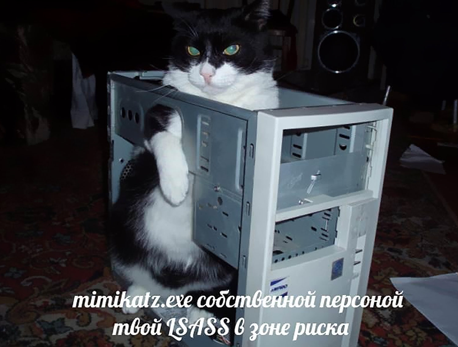 It кот