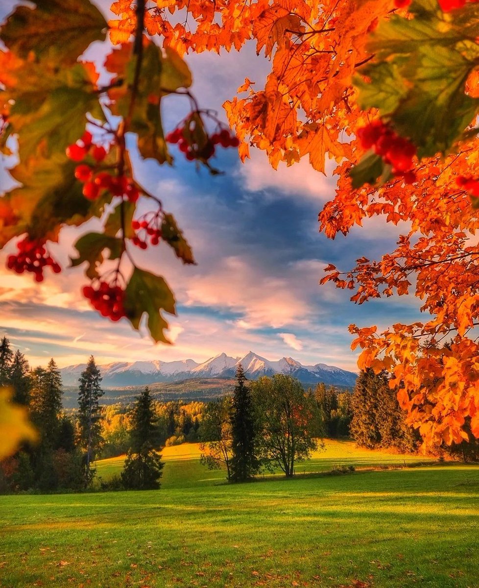 Nature4784's tweet photo. https://t.co/CQAUlH5rYN