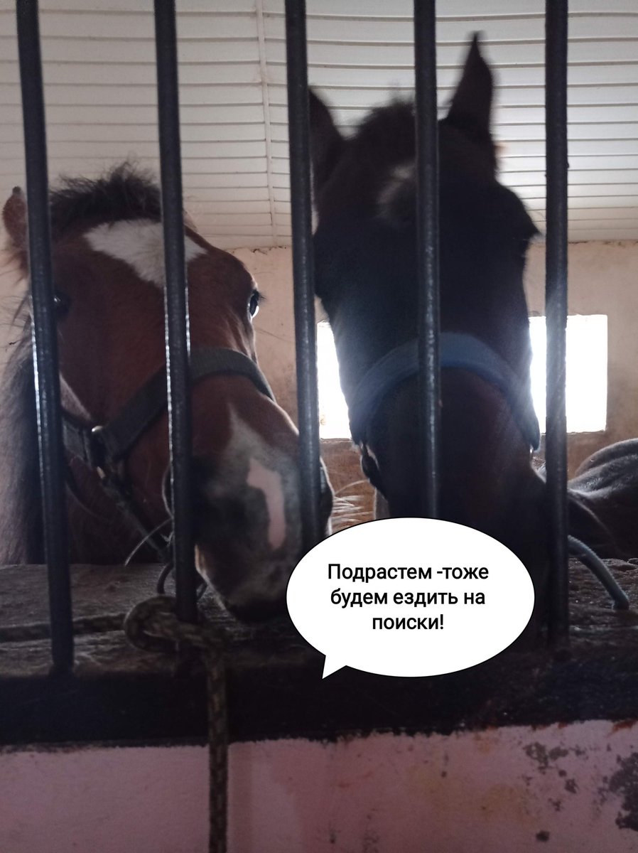 Марья (@makemariya) on Twitter photo 