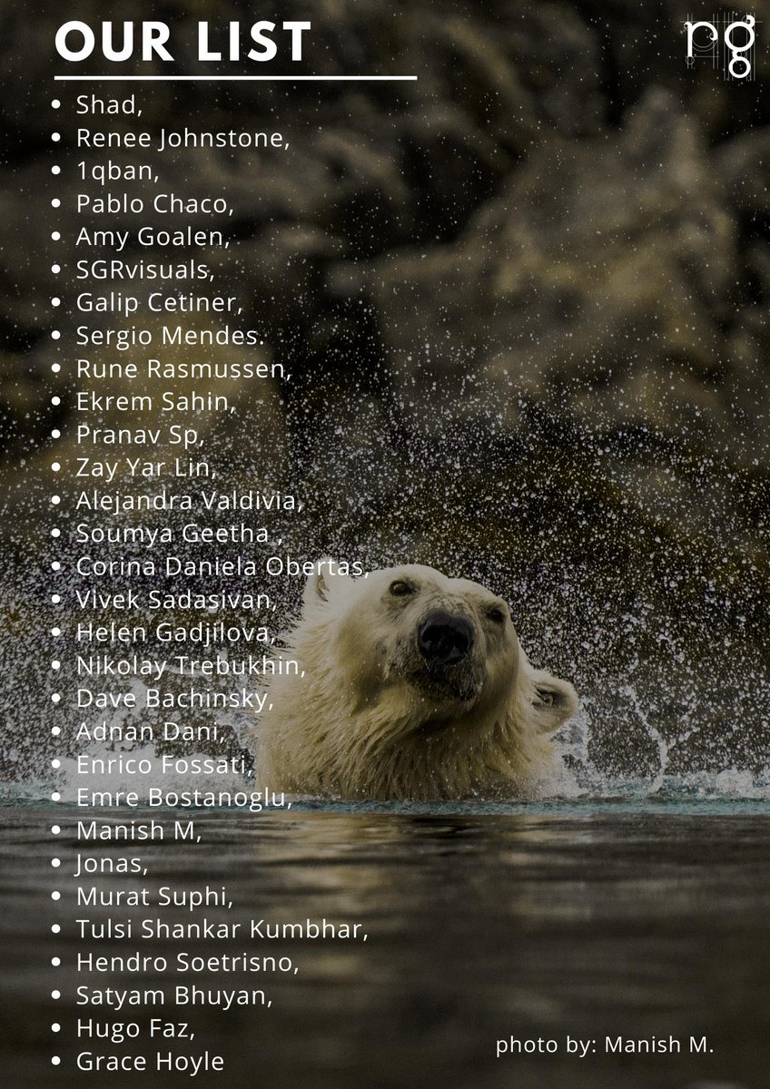 GM🤍 GET A WHITELIST FOR RAFFLEGRAPHY “Aqua Bear” by @ManishMandhyan He is a nature and wildlife photographer. And he is a voice-over artist at @theburrownft He has important collectors such as @priyankap_patel DM us for the limited WL spots!