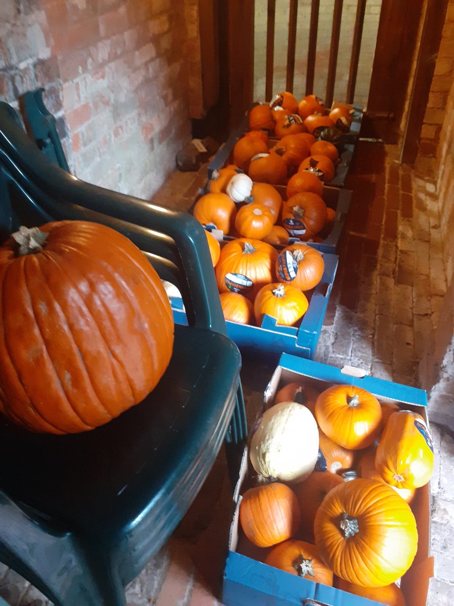 Moseley Park & Pool (@moseleyparkpool) on Twitter photo Where better to store pumpkins than our very own ice house?
Join us Wed 26th 1-4 & Sat 29 10-1 & carve a pumpkin for our trail on Sat 29 5-7
See if you can spot your candlelit creation in the Park!
Free activity - pumpkins & tools provided.
<a href="/WhatsOnBrum/">Birmingham What's On</a>
<a href="/BOSFonline/">BOSF - @bosfonline.bsky.social 🦋</a>
<a href="/GetOutKids/">GetOutWithTheKids</a> Where better to store pumpkins than our very own ice house?
Join us Wed 26th 1-4 & Sat 29 10-1 & carve a pumpkin for our trail on Sat 29 5-7
See if you can spot your candlelit creation in the Park!
Free activity - pumpkins & tools provided.
<a href="/WhatsOnBrum/">Birmingham What's On</a>
<a href="/BOSFonline/">BOSF - @bosfonline.bsky.social 🦋</a>
<a href="/GetOutKids/">GetOutWithTheKids</a>