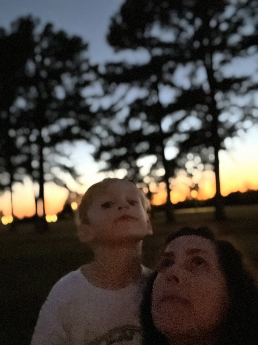 ChrystalReis2's tweet photo. The midnight sun! Last night we observed the night sky while also watching for bats at twilight! Jupiter was visible. We tried SkyGuide app to help us, an app we learned about at the star party! It’s hard to imagine 24 hours of daylight in Antarctica! https://t.co/CUvwBk7eR7