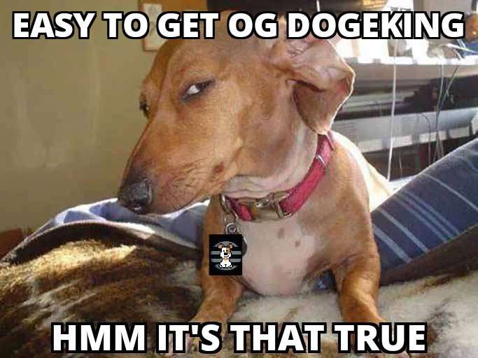 #The meme is coming, and we're planning to #Airdrop $600 APT tokens Mainnet for the community!

If this tweet reaches 400❤️ + RT + Comment🔥

Are you ready? don't forget to turn on the notification🔔
 #MEMES #Aptos #APTOSDOGEKING #AptosGiveaways #aptoscommunity #memeland