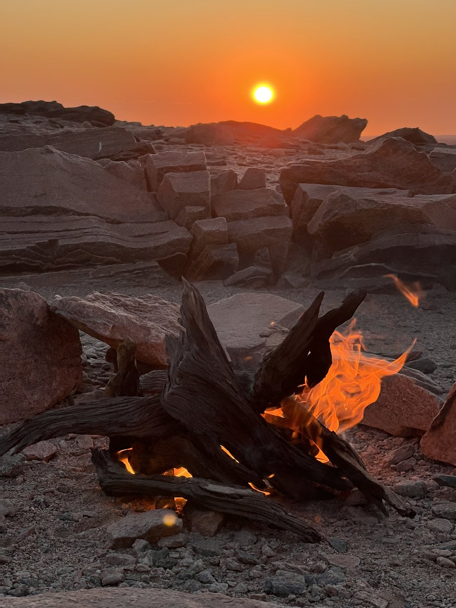 A few wild camping spots for the Desert Giants expeditions 🐘💚🐘