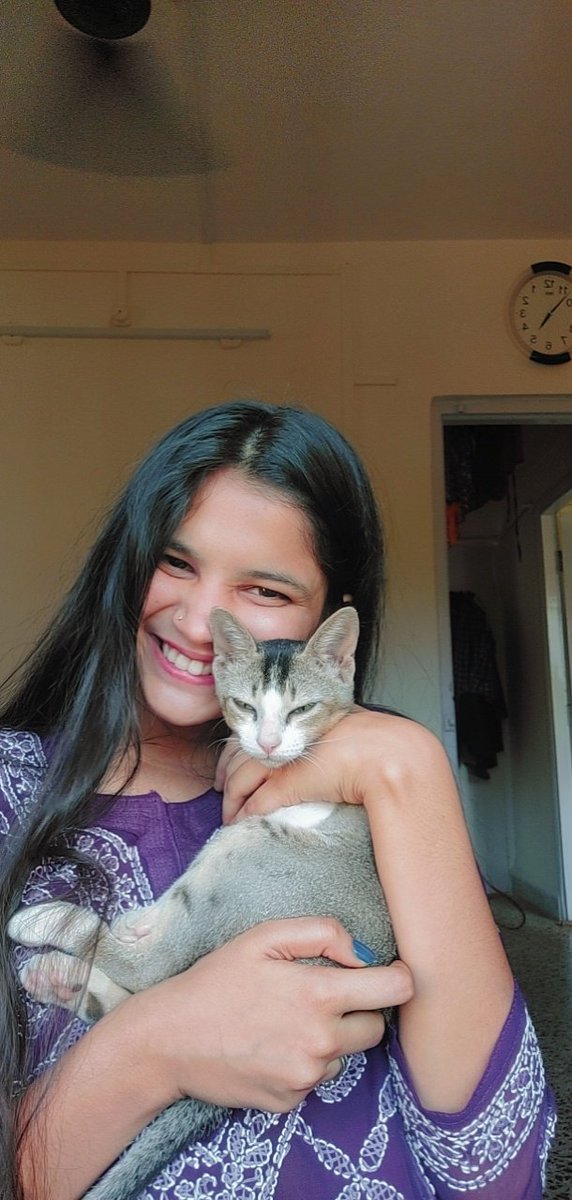 Gayatrijoshi02's tweet photo. Cats🤌❤️ https://t.co/IcfGYsKYND