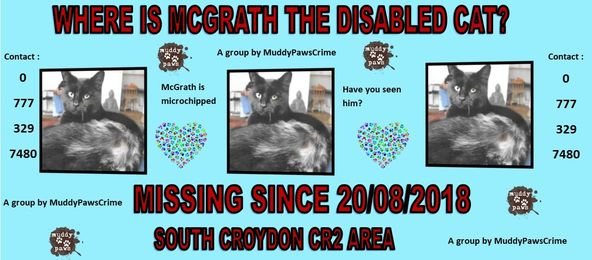 GG01 (@gelert01) on Twitter photo #McGrath_the_disabled cat still missing #South_Croydon #CR2 area Have you seen this cat? #Chipped facebook.com/groups/4050510… <a href="/MissingPetsGB/">Missing Pets GB</a> <a href="/CarolPoyerPeett/">Wales Propertyfinder</a> <a href="/rosiedoc666/">Rosie Doc</a> <a href="/RachaelB100/">Rachael</a> <a href="/KarenFi51820768/">Karen Field</a> <a href="/karensarah66/">Karen Hall</a> #CatsMatterToo #CatsAreFamily #CatsOfFacebook #McGrath_the_disabled cat still missing #South_Croydon #CR2 area Have you seen this cat? #Chipped facebook.com/groups/4050510… <a href="/MissingPetsGB/">Missing Pets GB</a> <a href="/CarolPoyerPeett/">Wales Propertyfinder</a> <a href="/rosiedoc666/">Rosie Doc</a> <a href="/RachaelB100/">Rachael</a> <a href="/KarenFi51820768/">Karen Field</a> <a href="/karensarah66/">Karen Hall</a> #CatsMatterToo #CatsAreFamily #CatsOfFacebook
