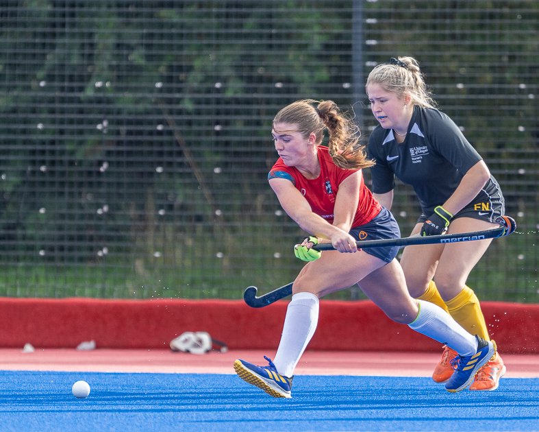 David P McCarthy tweet media