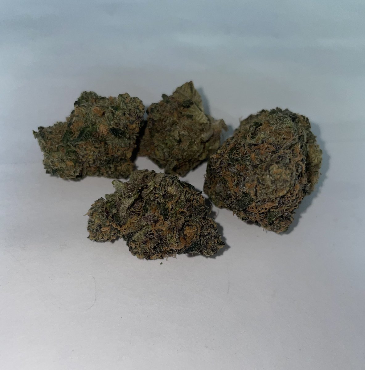 KashKartel3's tweet photo. If you ain’t smoking kash kartel wyd? https://t.co/NYyWtMNDja