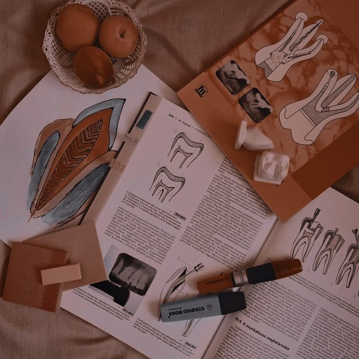 studiesemy's tweet image. ⌕ : #booktwt &amp;amp; #collegetwt (#studytwt)

ㄧ emy, 2005
ㄧ ela/dela
ㄧ 3° E.M
ㄧ vestibulanda odontologia 
ㄧ pt-br
ㄧ criei essa conta para me motivar nessa reta final

🌌 : livros, crepúsculo, biologia e academia

↺/♡ = moots!