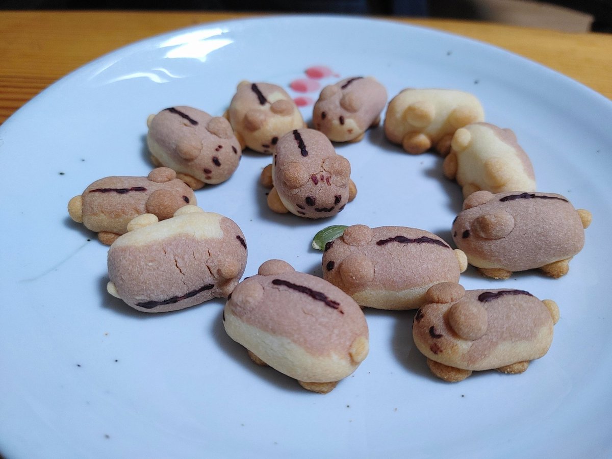 햄서터 사랑맨 지인이 구운 햄스터 쿠키....
너무 귀여워!!! 🥰❤️🧡💛💚💙💜🤎🖤🤍