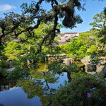 ツイートに含まれる画像