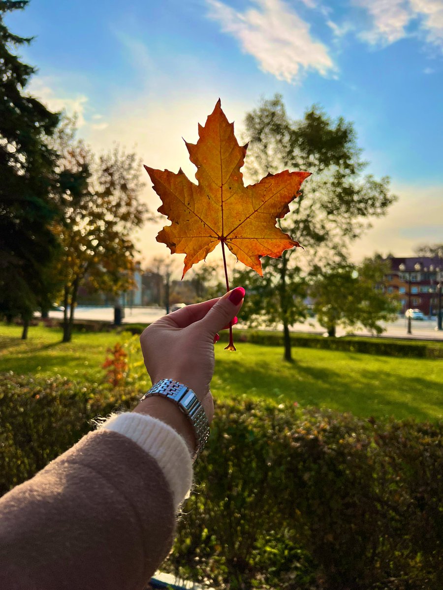 AnaBell_NFT_'s tweet photo. Another autumn week has flown by.  While nature is raging with colors, we enjoy it 😍
How was your week?

#NFTCommunity #NFTfamily https://t.co/oZImy1UHNi