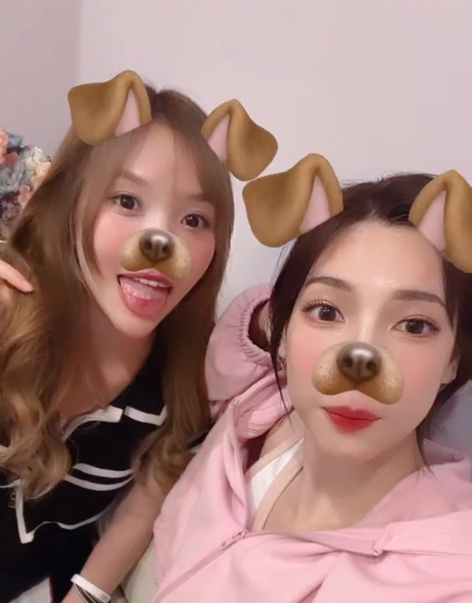 ungeungarea's tweet photo. เจ้าอุงกับพี่เกรซน่านักมากจังงงง 🐶💖

#อุงเอิง #ungueng @uueungg https://t.co/mn1Z0ribgE