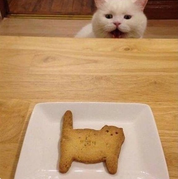 He had been baked