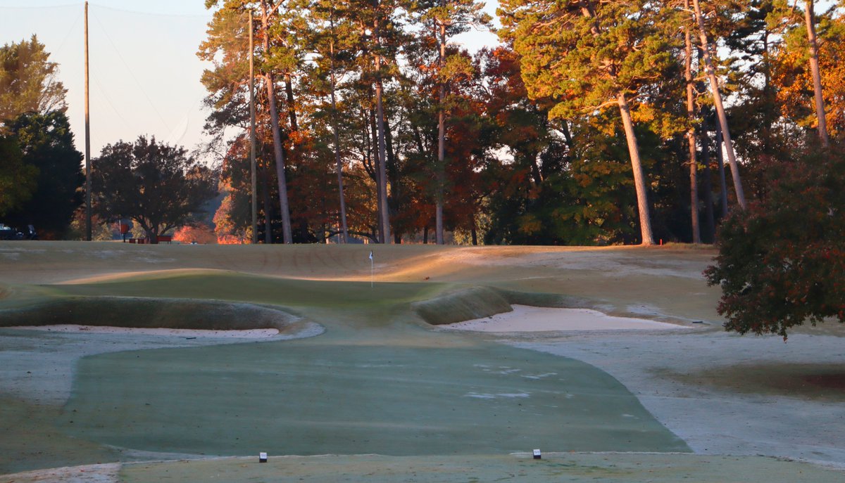 🏌️♀️BuffaloGolfer.Com🏌️♂️ tweet media