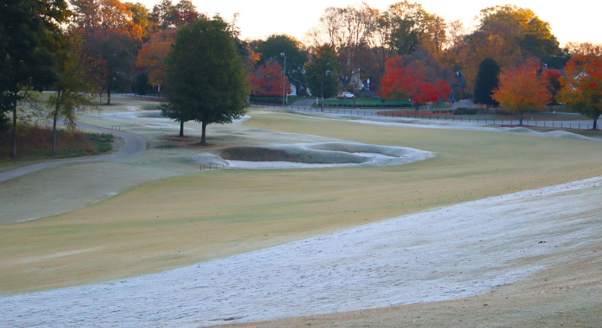 🏌️♀️BuffaloGolfer.Com🏌️♂️ tweet media