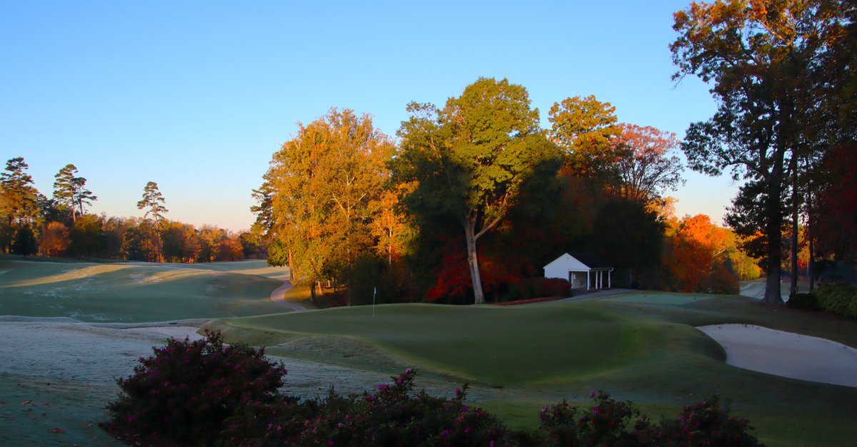 🏌️♀️BuffaloGolfer.Com🏌️♂️ tweet media