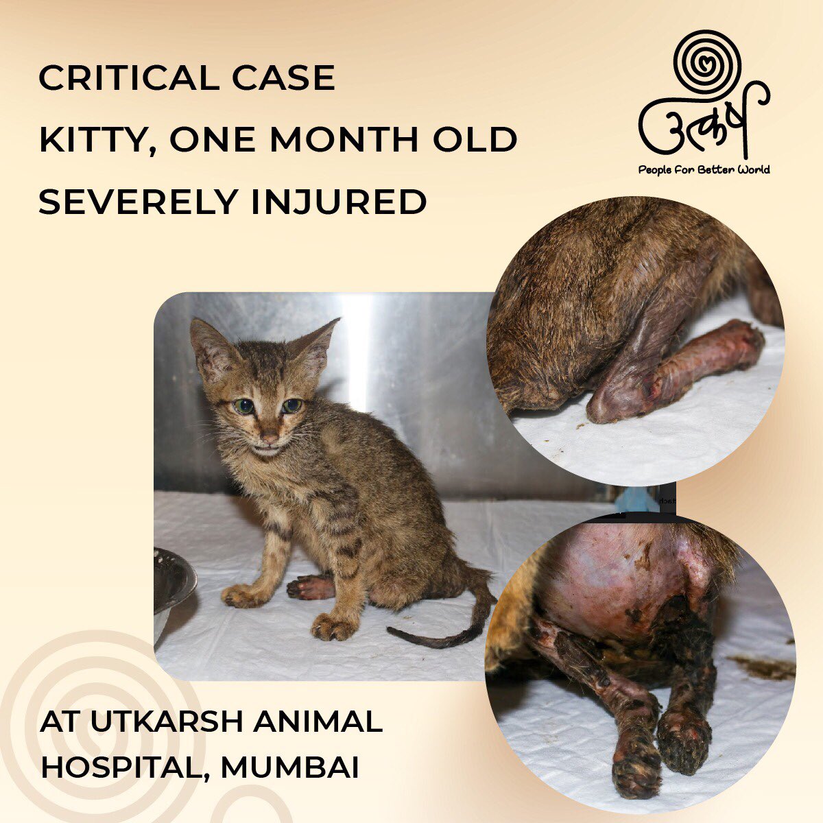 Utkarsh-Animal Welfare (@AnimalUtkarsh) / Twitter Utkarsh-Animal Welfare (@AnimalUtkarsh) / Twitter