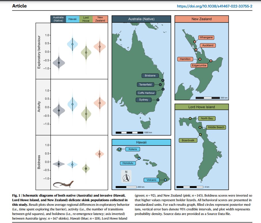 We know that behavioural traits are important in invasions but can invasion act as a selective filter on such traits? @chapple_lab @BBM_Wong + colleagues found lizards from 3 invasive ranges were more behaviourally plastic than their native counterparts nature.com/articles/s4146…