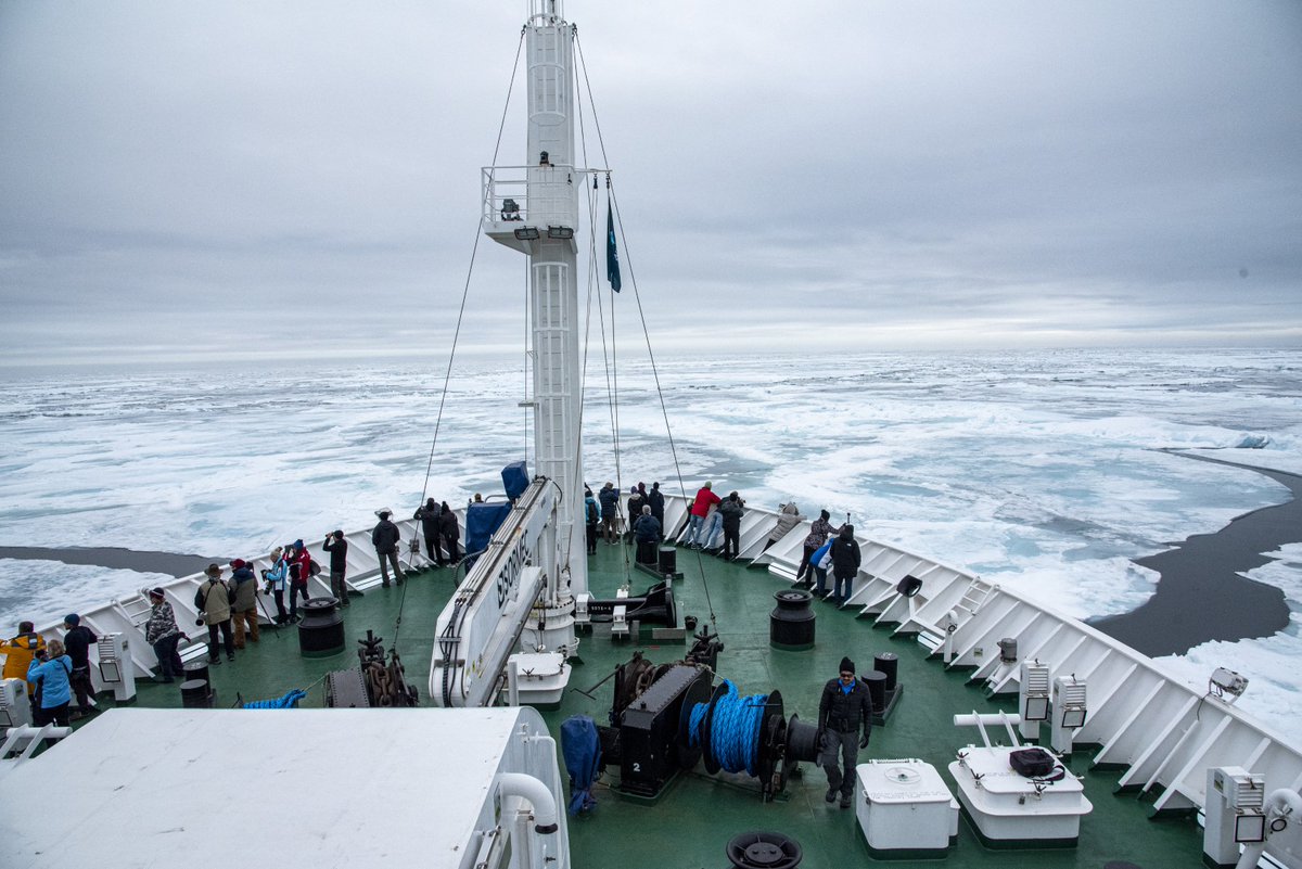 OceanwideExp's tweet image. One of our passengers took these four fantastic photos during one of last season’s Arctic trips. Which one is your favorite? #thearctic

Pictures by Subir Ghosh.