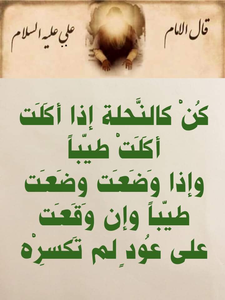 اسعد الله مسائكم .قال امير المؤمنين عليه السلام ..❤❤❤❤❤❤❤❤❤❤❤❤🌹